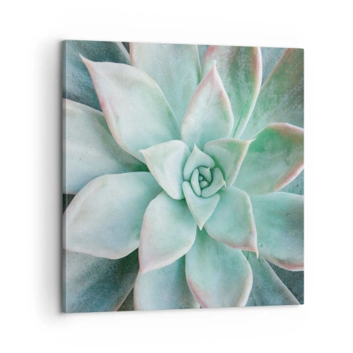 Vászonkép - A sivatag szíve - 60x60 cm