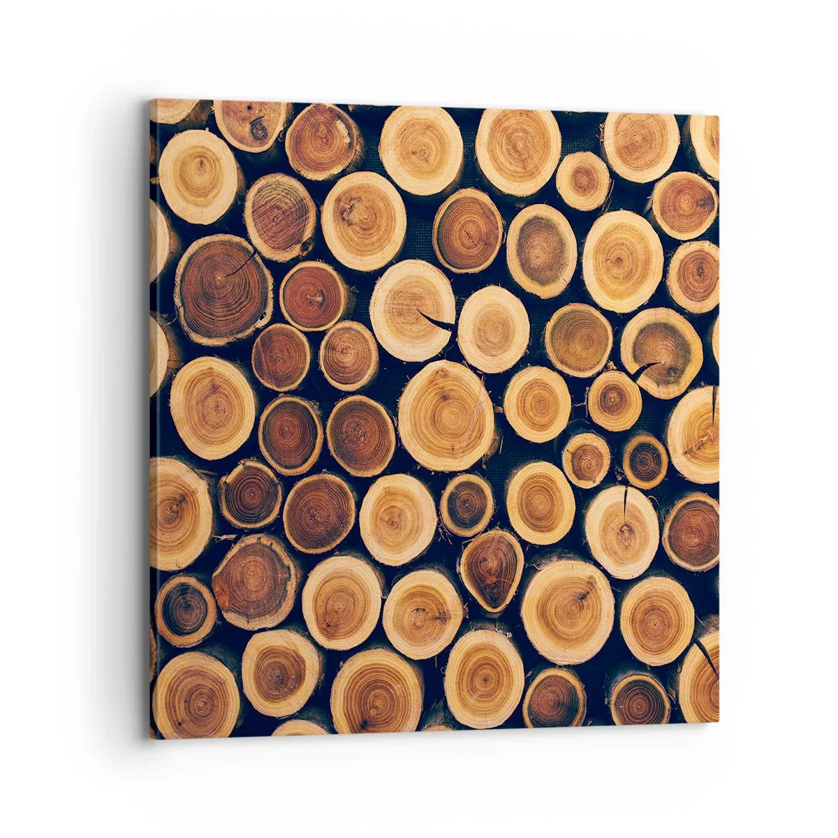 Vászonkép - Hány évesnek nézek ki? - 70x70 cm