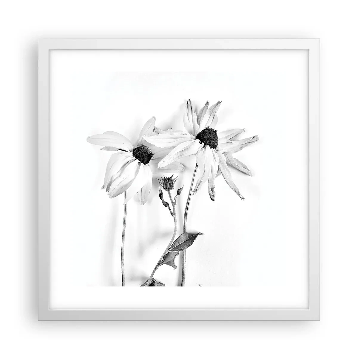 Poszter fekete keretben - Senki sem akar egyedül lenni - 40x40 cm