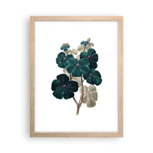 Poszter világos tölgy keretben - Egy régi herbáriumból - 30x40 cm