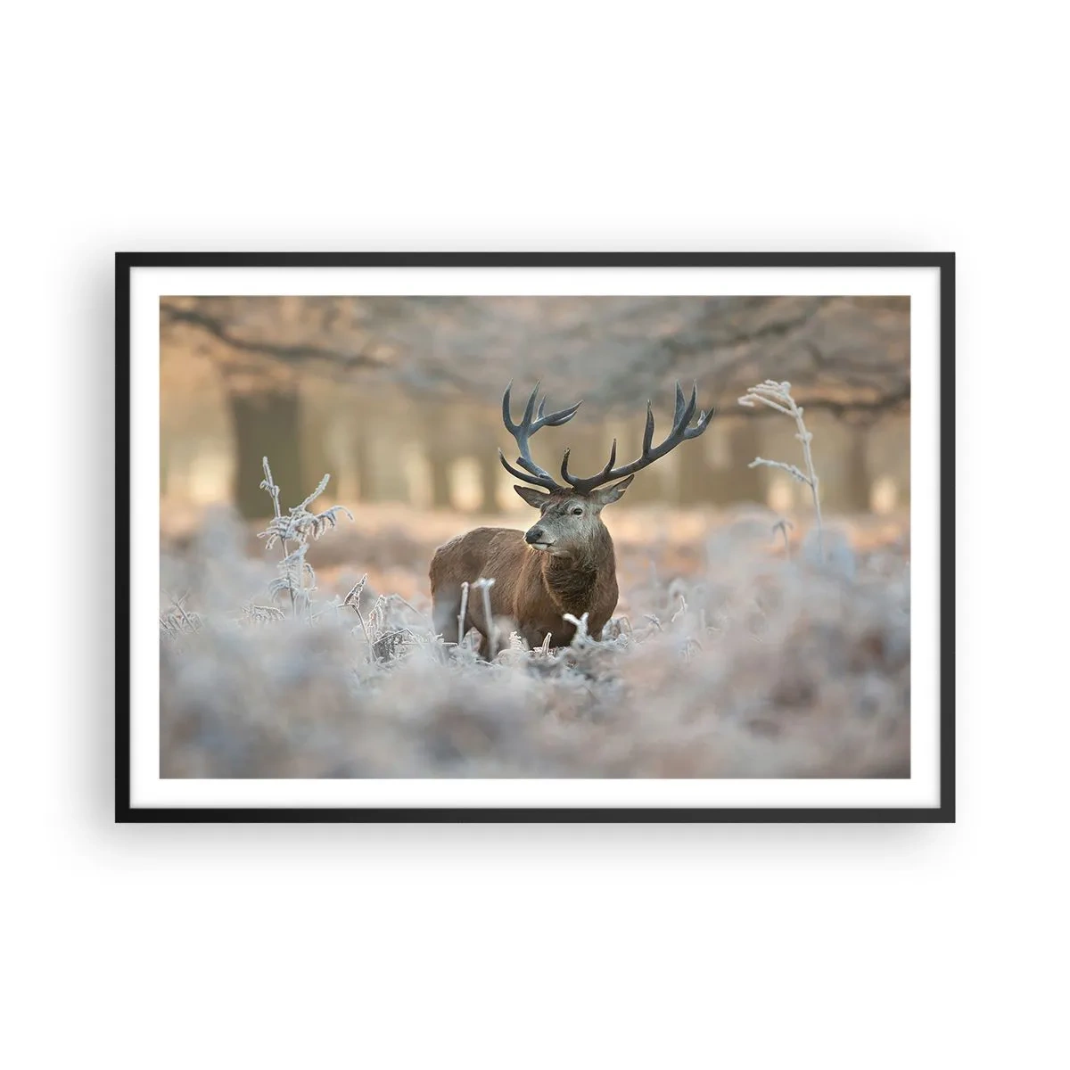 Poszter fehér keretben - Friss reggel - 91x61 cm