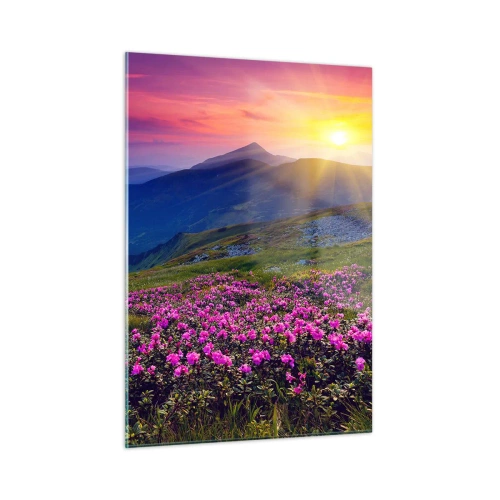 Üveg kép - … És körülötte hegyi fenyő és gyógynövények illata - 50x70 cm