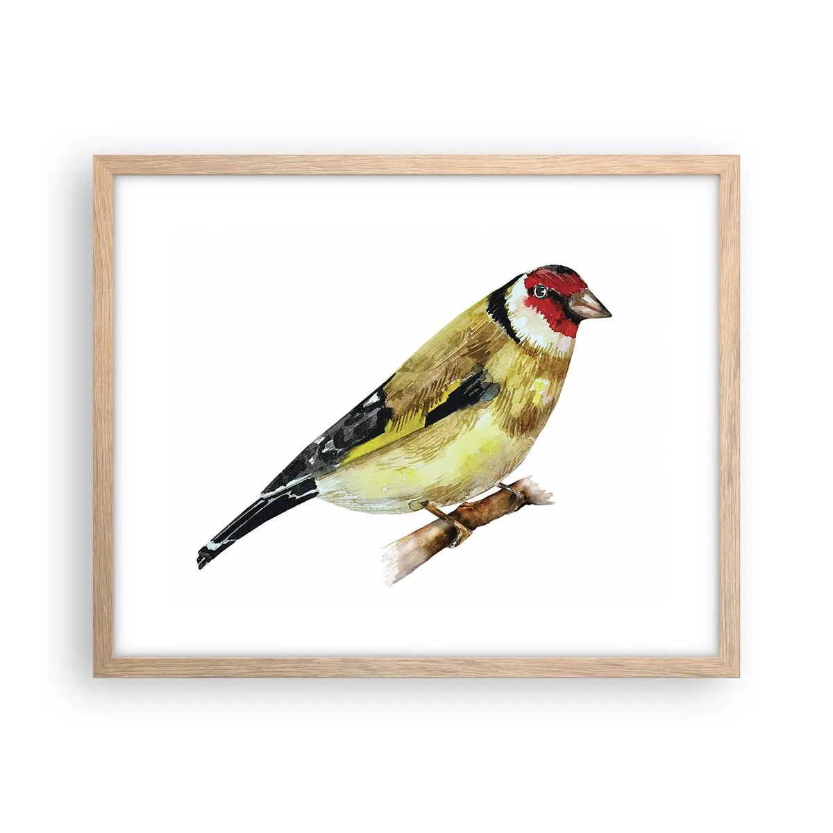 Poszter világos tölgy keretben - Madárportré - 50x40 cm