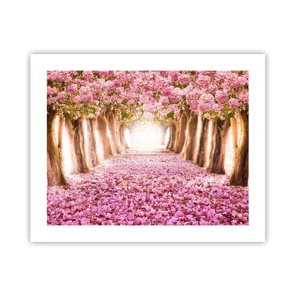 Poszter - Út a paradicsomba - 50x40 cm