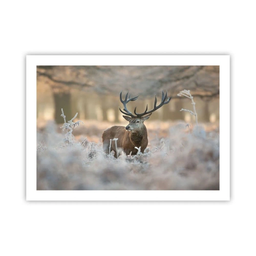 Poszter - Friss reggel - 70x50 cm