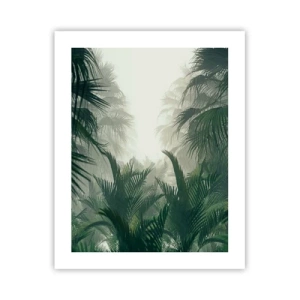 Poszter - Trópusi titok - 40x50 cm