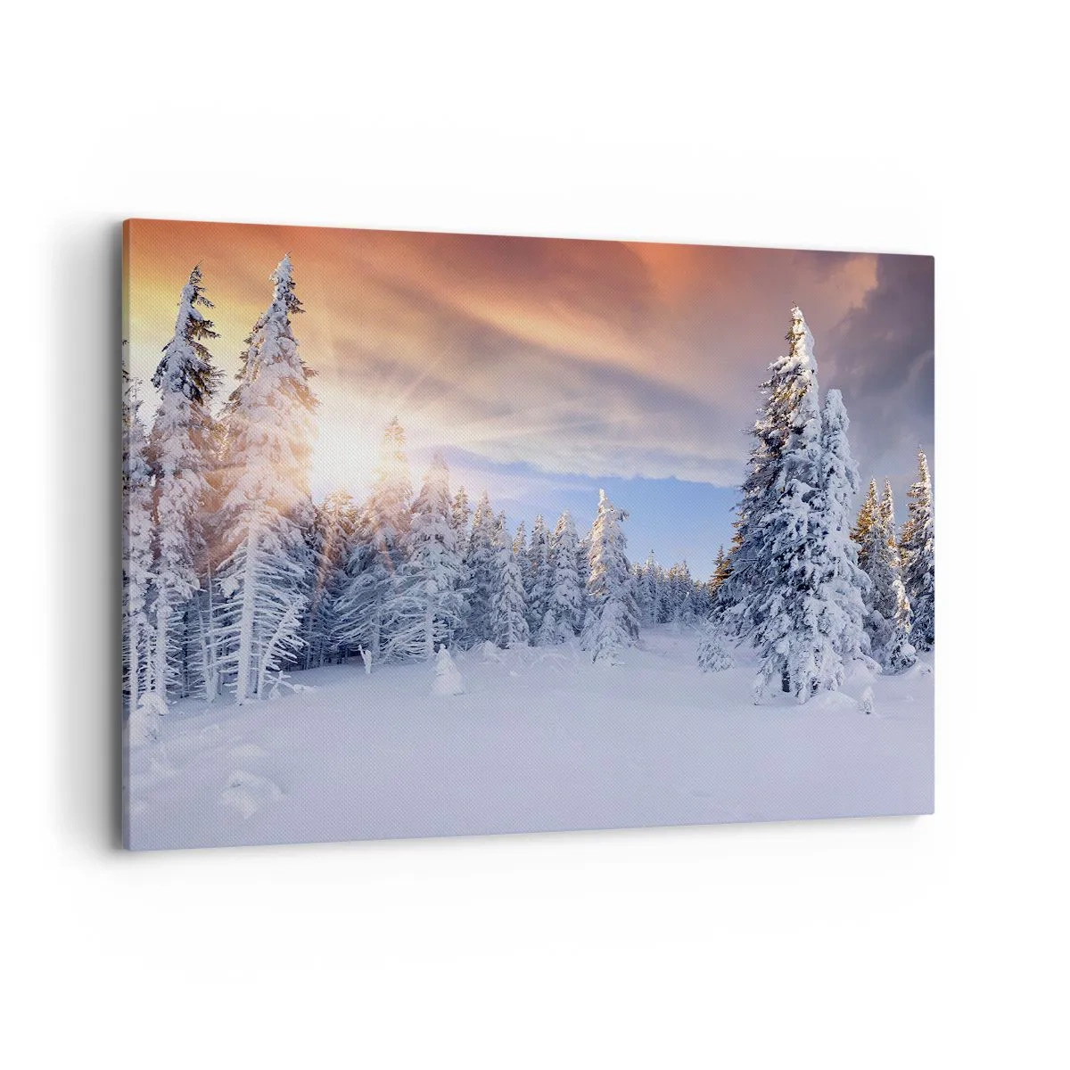 Vászonkép - A természet havas látványa - 120x80 cm