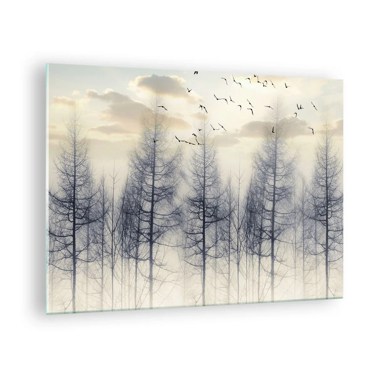 Üveg kép - Egy ködös erdő madarakkal, megvilágítva a felkelő nap által - 70x50cm - Erdei szellemek - Modern fali dekoráció nappalihoz és hálószobához ARTTOR