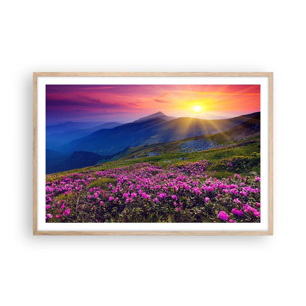 Poszter világos tölgy keretben - … És körülötte hegyi fenyő és gyógynövények illata - 91x61 cm