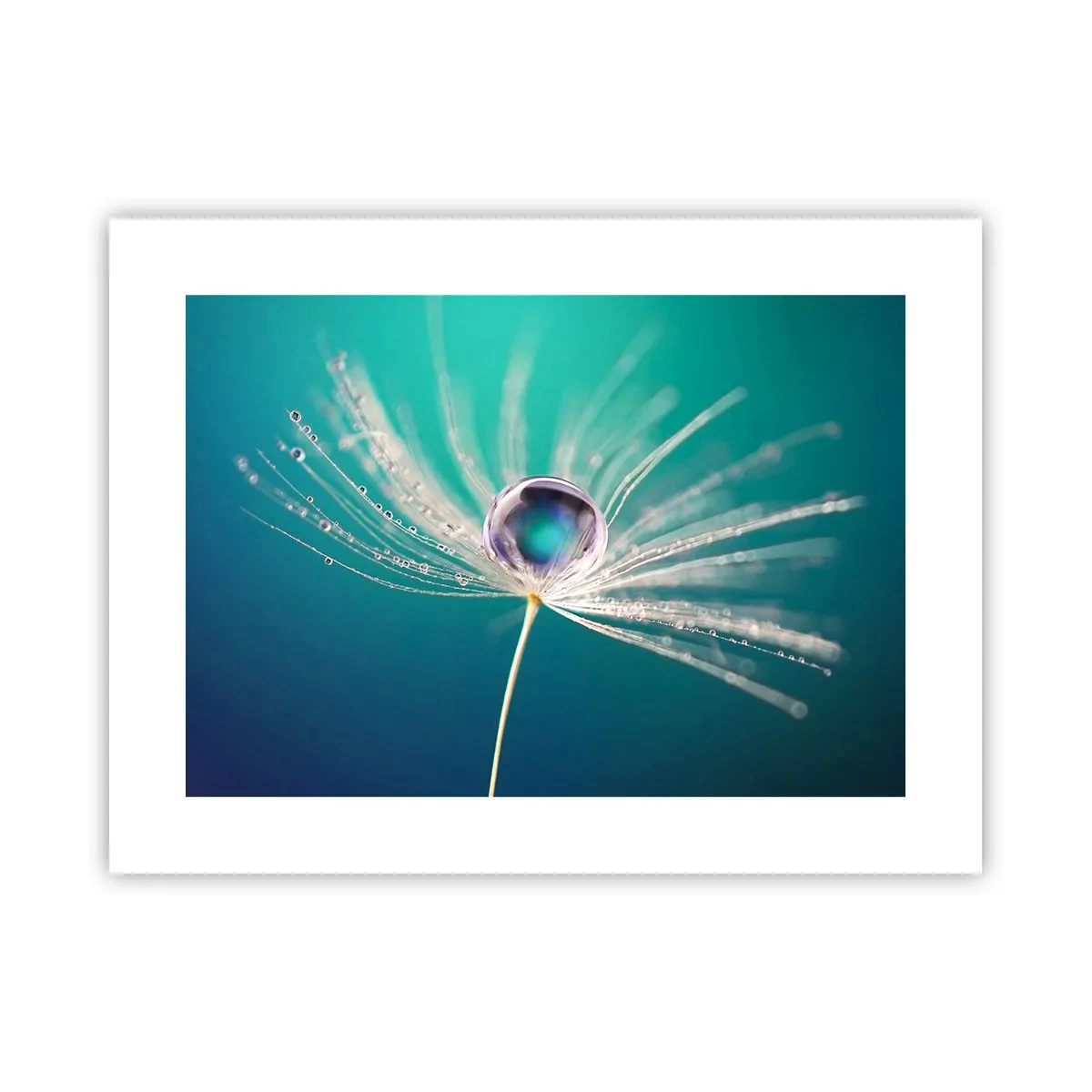 Poszter - Misztikus pillanat - 40x30 cm