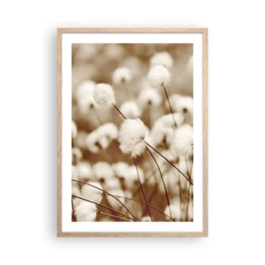 Poszter világos tölgy keretben - Bolyhos termés - 50x70 cm