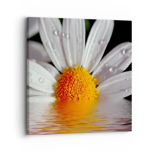 Vászonkép - A százszorszép felkelő napja - 30x30 cm