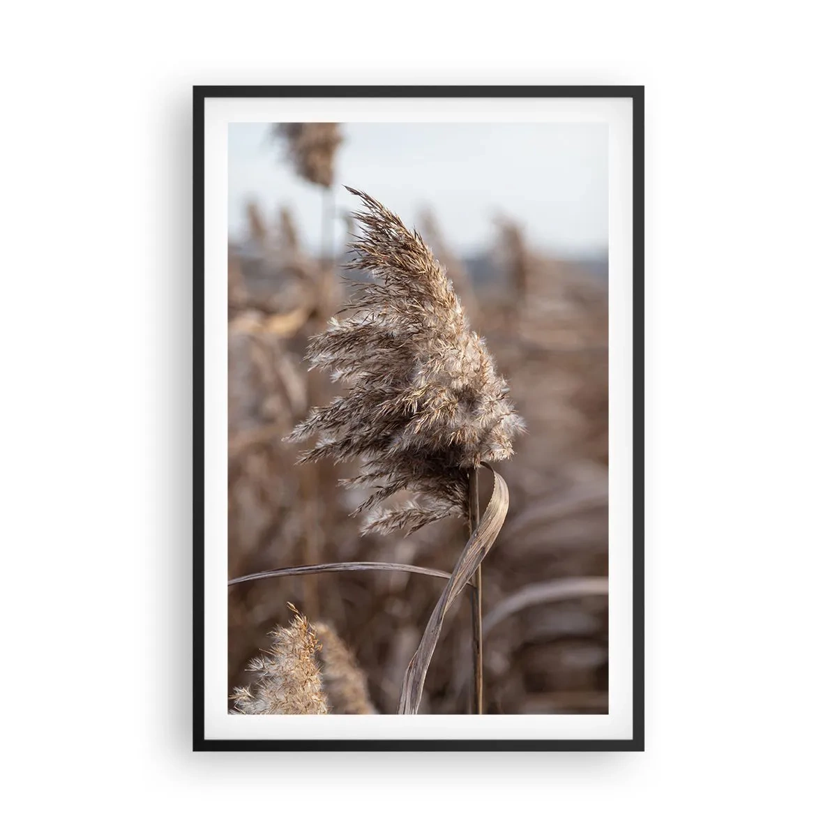 Poszter fehér keretben - Ideje elrepülni a széllel - 61x91 cm