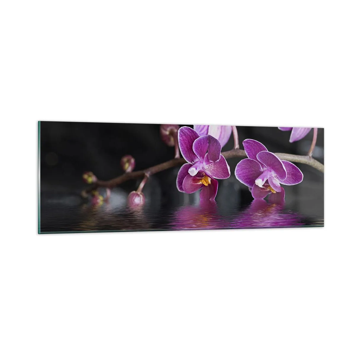 Üveg kép - Lila a szépség tükörképe - 90x30 cm