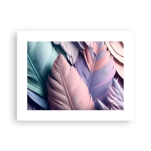 Poszter - Madár sikk - 40x30 cm