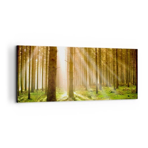 Vászonkép - Hamarosan megjelennek az álfok - 100x40 cm