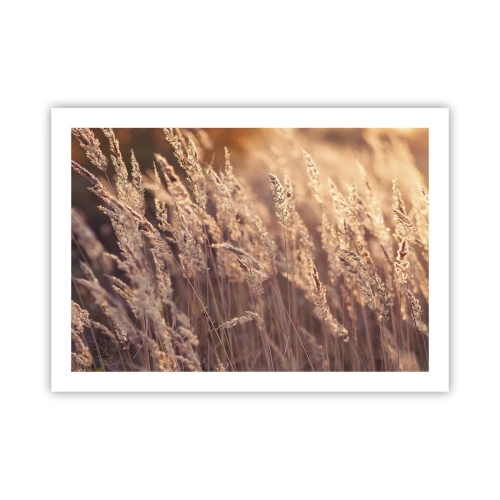 Poszter - Készen az ősz fogadására - 70x50 cm