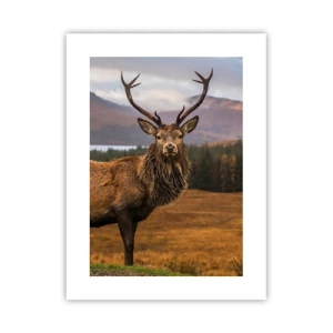 Poszter - A természet fensége - 30x40 cm