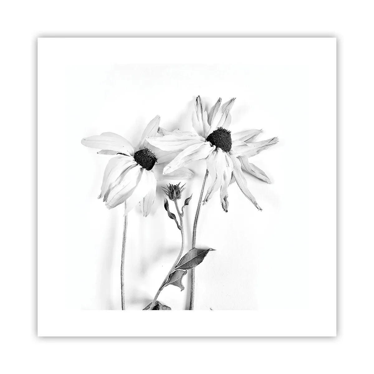 Poszter - Senki sem akar egyedül lenni - 40x40 cm