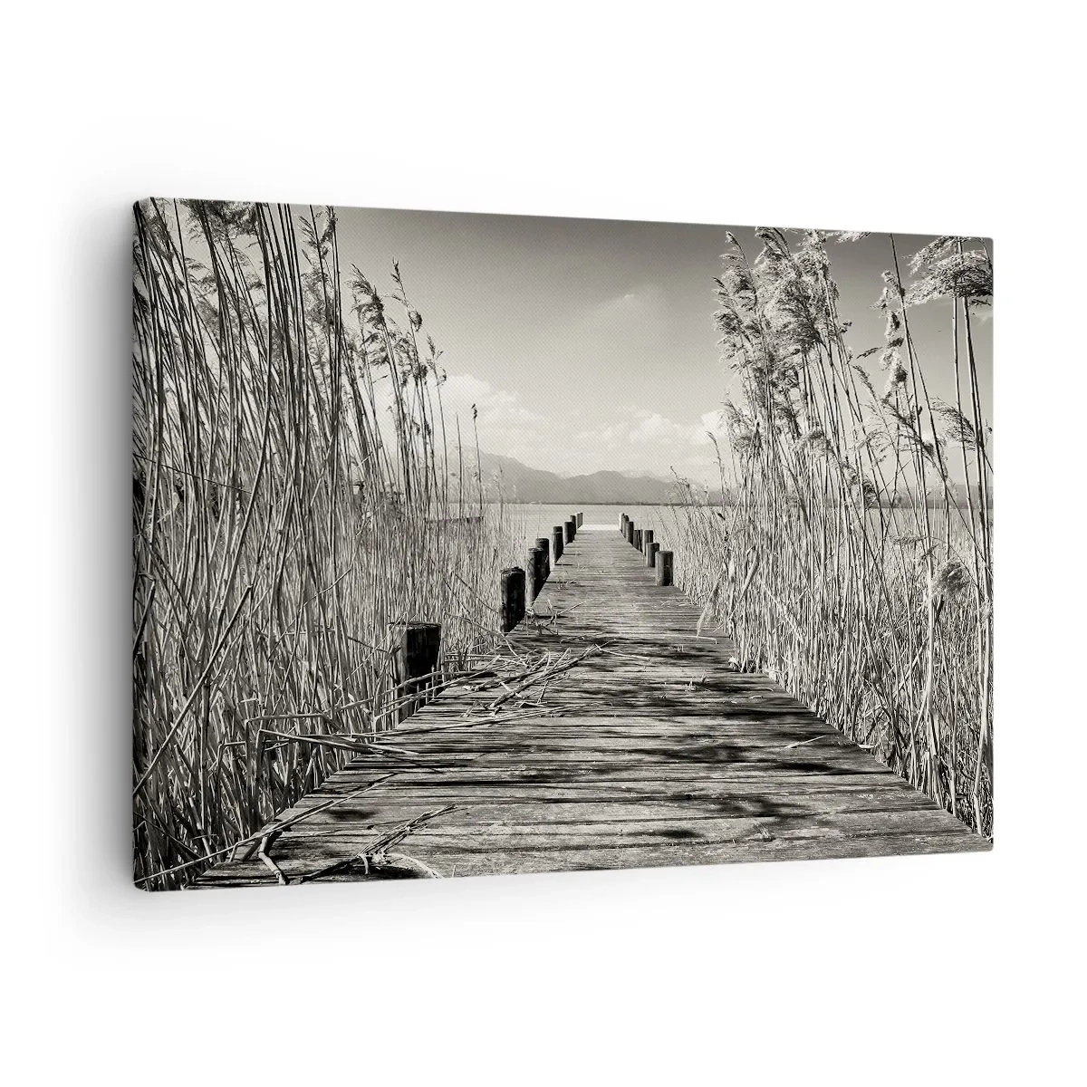 Vászonkép - Egy fából készült móló magas fű között egy szépia árnyalatú tó felett - 70x50cm - A fű csendjében - Modern fali dekoráció nappalihoz és hálószobához ARTTOR
