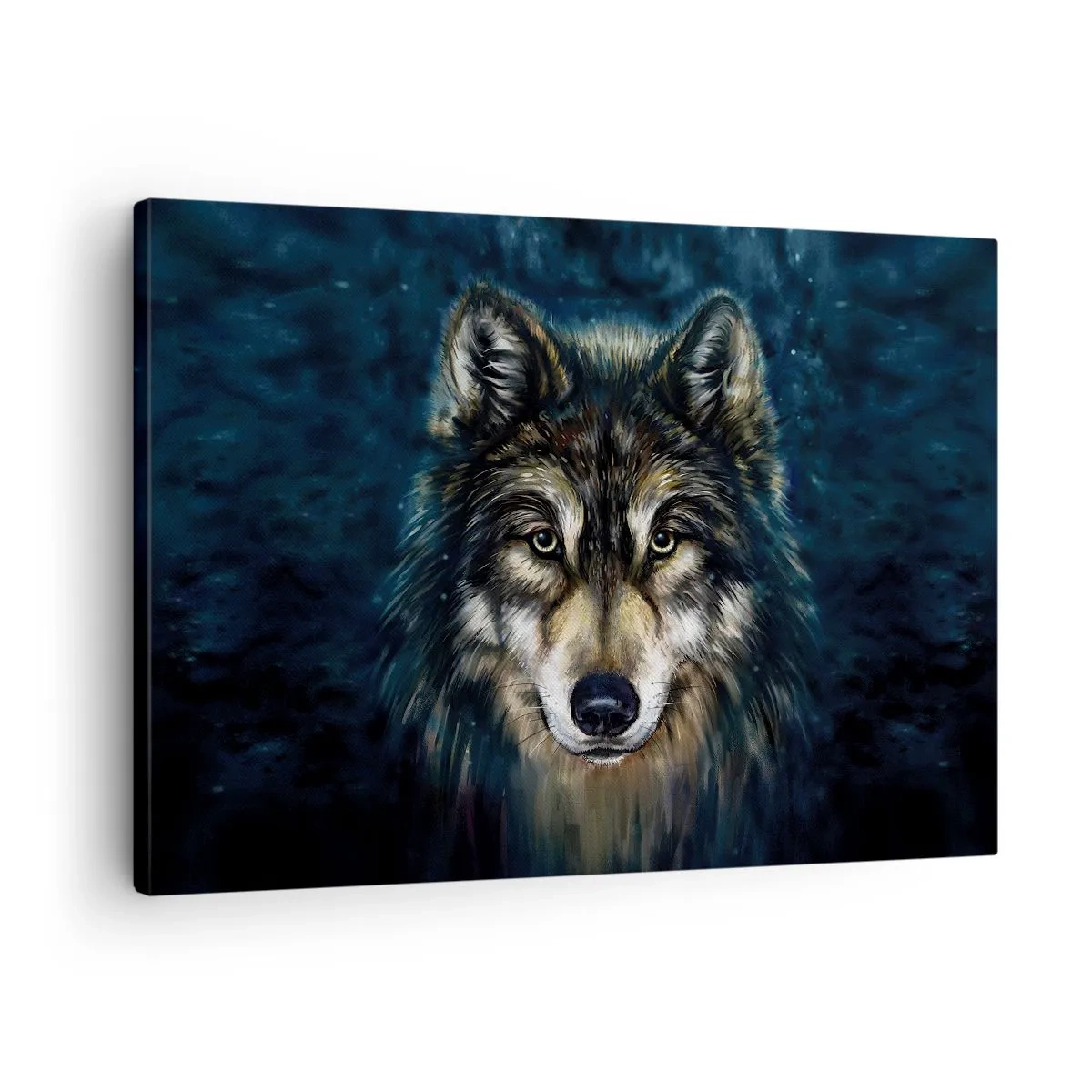 Vászonkép - Farkas portréja sötétkék háttérrel - 70x50cm - Alfa? És az omega - Modern fali dekoráció nappalihoz és hálószobához ARTTOR