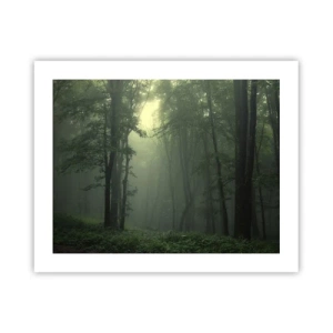 Poszter - Mielőtt felébred - 50x40 cm