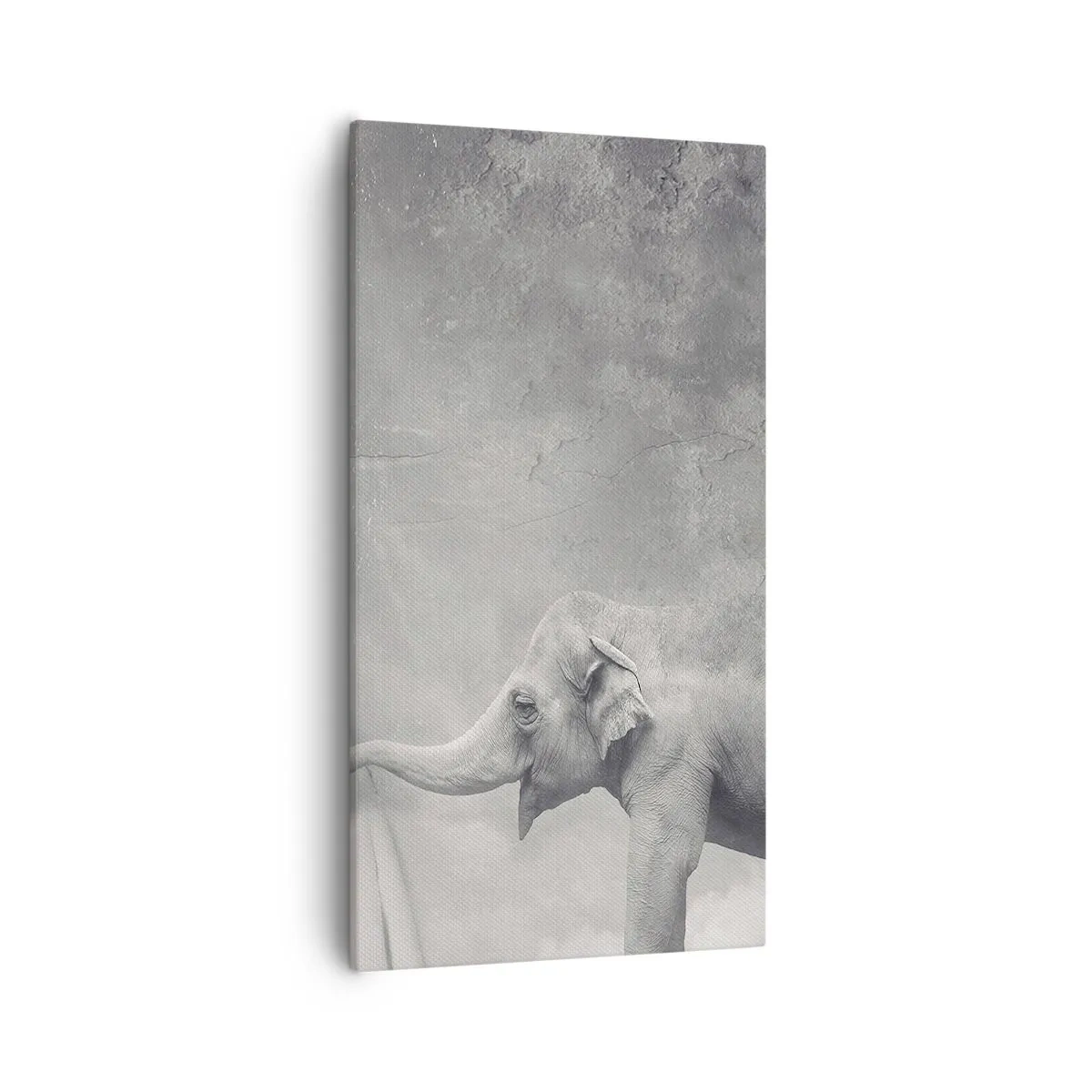 Vászonkép - Feltárni a titkot - 55x100 cm