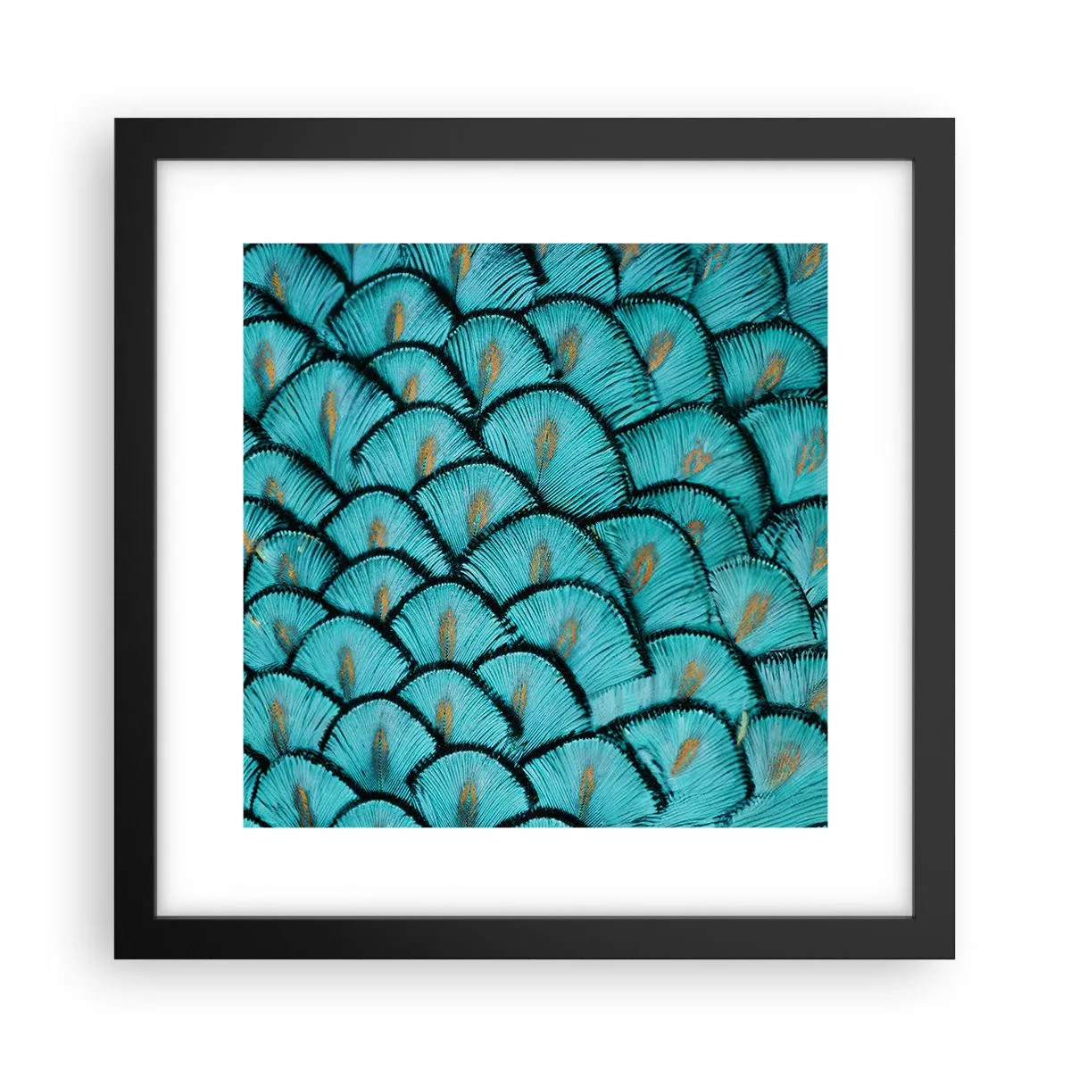 Poszter fehér keretben - A tollak nagy gálája - 30x30 cm