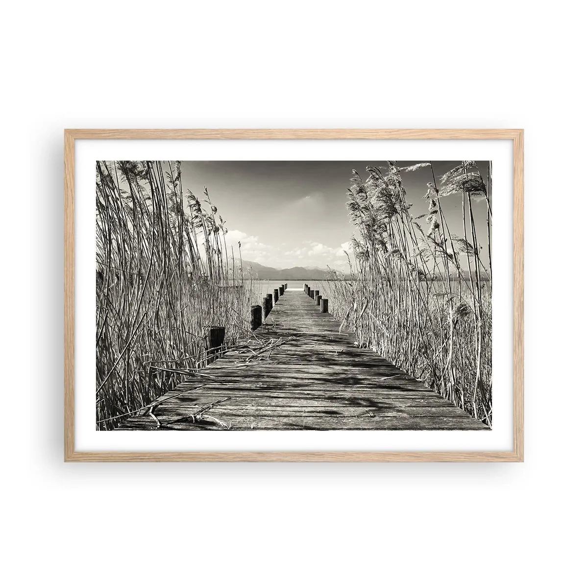 Poszter világos tölgy keretben - A fű csendjében - 70x50 cm