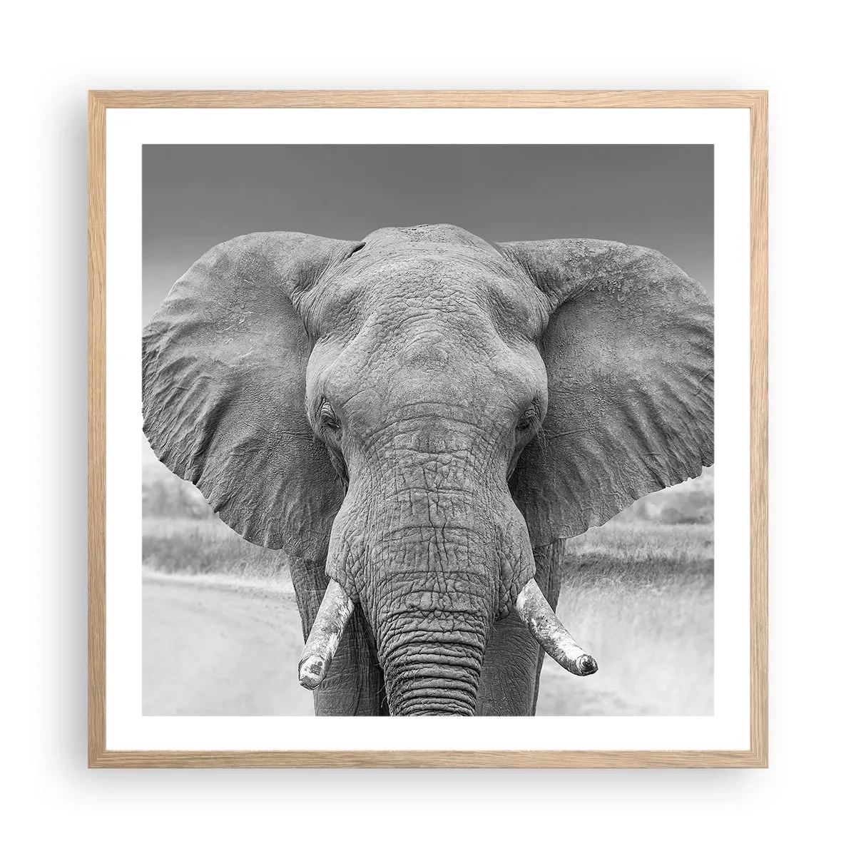 Poszter világos tölgy keretben - Üdv a világomban - 60x60 cm