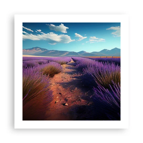 Poszter - Illatos mezők - 50x50 cm