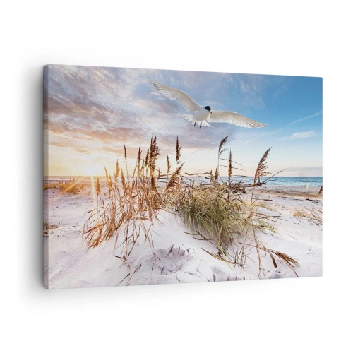 Vászonkép - Strand, ahol sirályok repülnek naplementekor - 70x50cm - A tengeri szél - Modern fali dekoráció nappalihoz és hálószobához ARTTOR