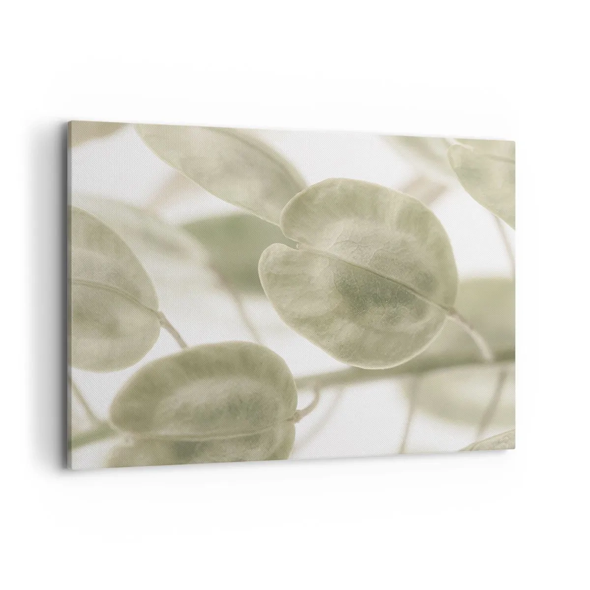 Vászonkép - Kezdetben levelek voltak... - 100x70 cm