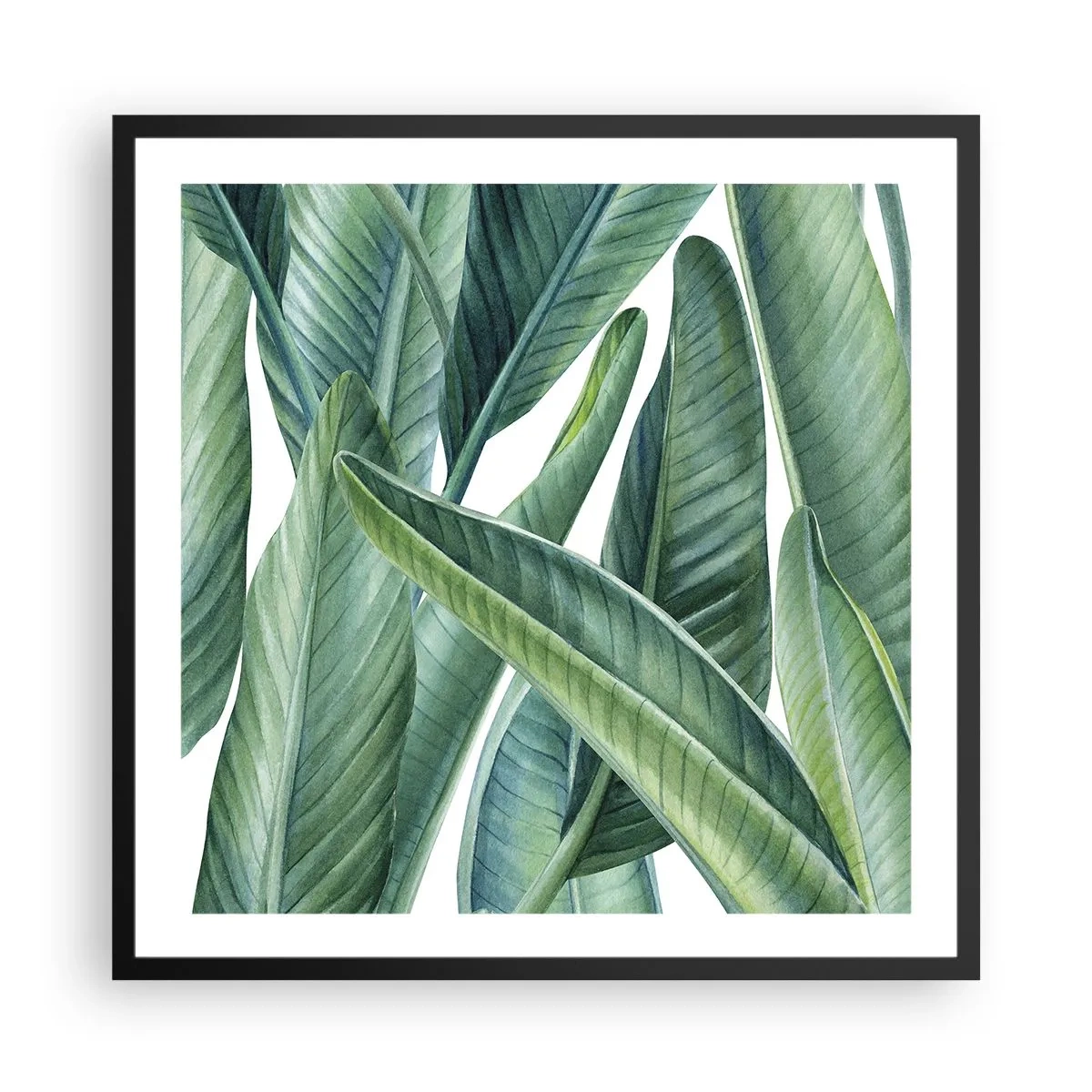 Poszter fehér keretben - Zöld önmagában - 60x60 cm