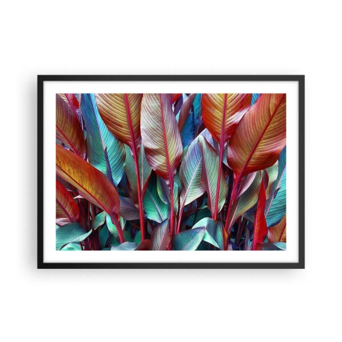 Poszter fehér keretben - Egy színes sűrű - 70x50 cm