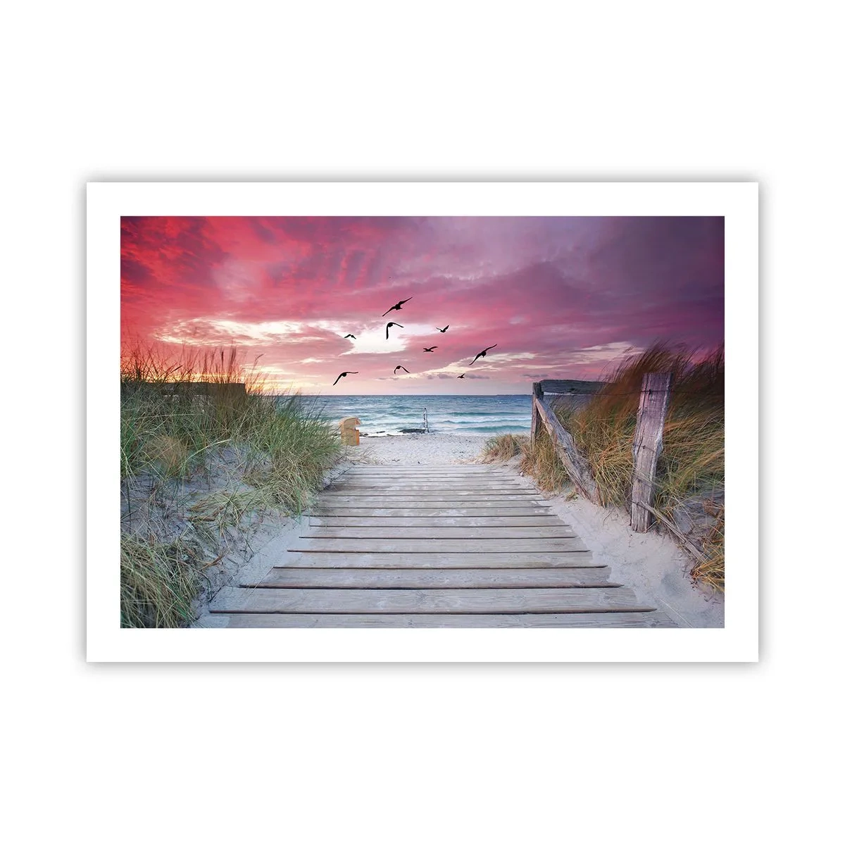 Poszter - Balti impresszió - 70x50 cm