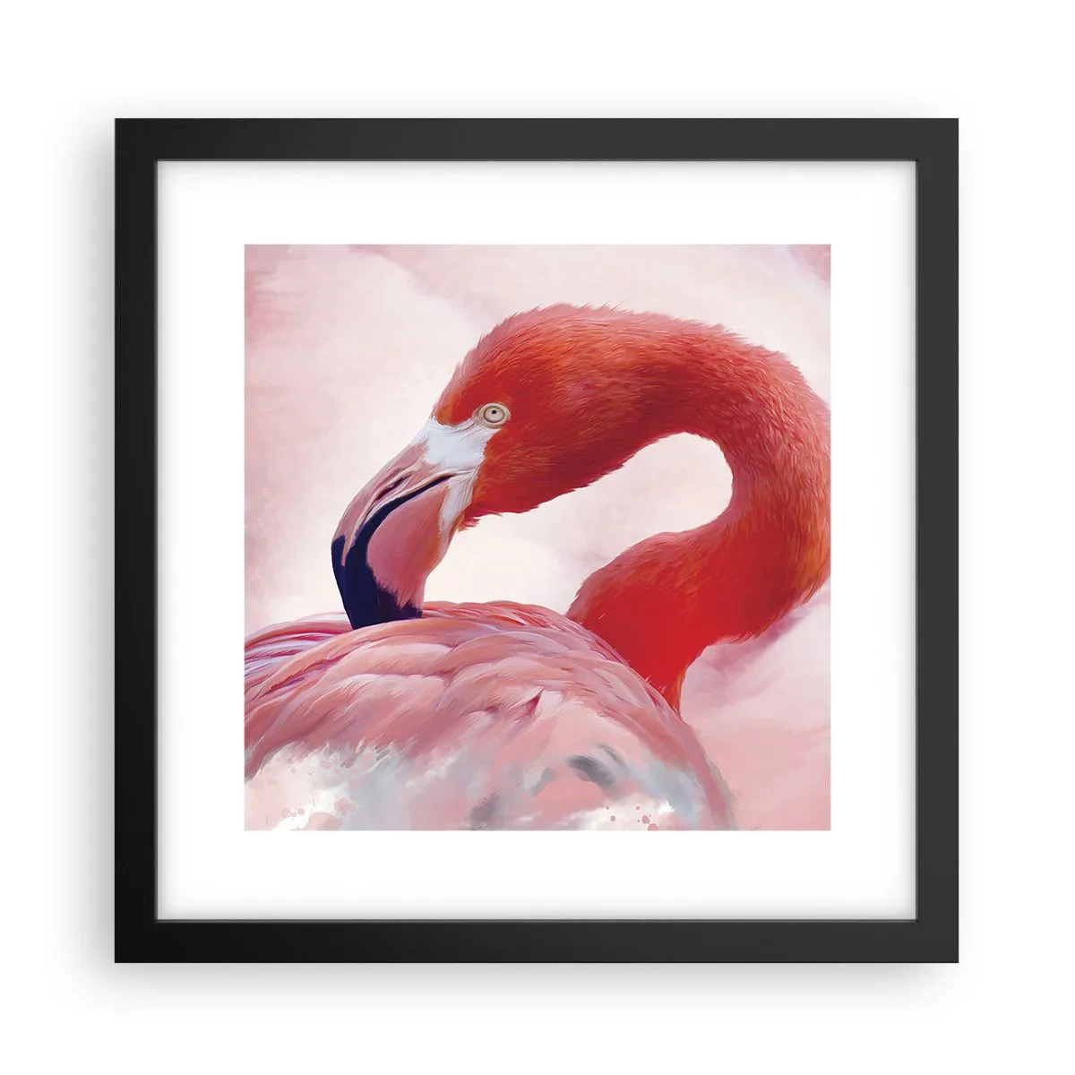 Poszter fehér keretben - Madári szépség - 30x30 cm