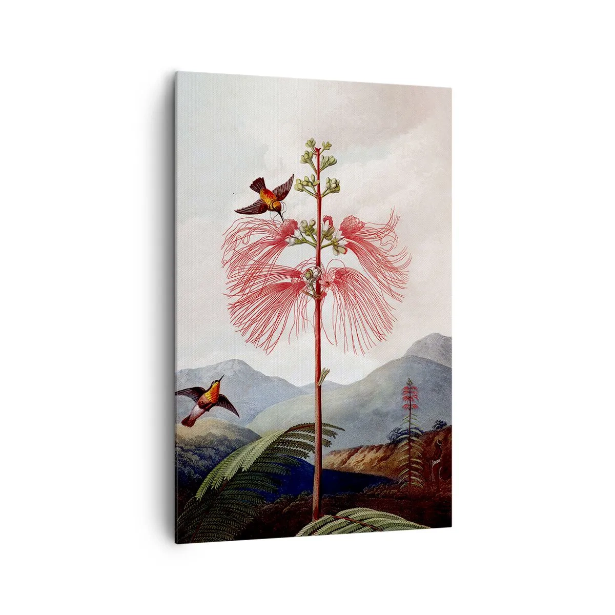 Vászonkép - Egy trópusi paradicsomban - 80x120 cm