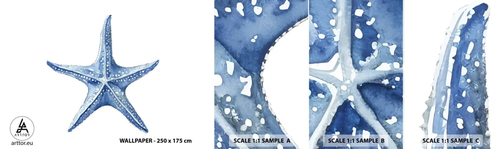Fotótapéta Minta Standard Eco - A tenger csillaga - Tengeri csillag, Tengerpart, korallzátony - 100x30 cm
