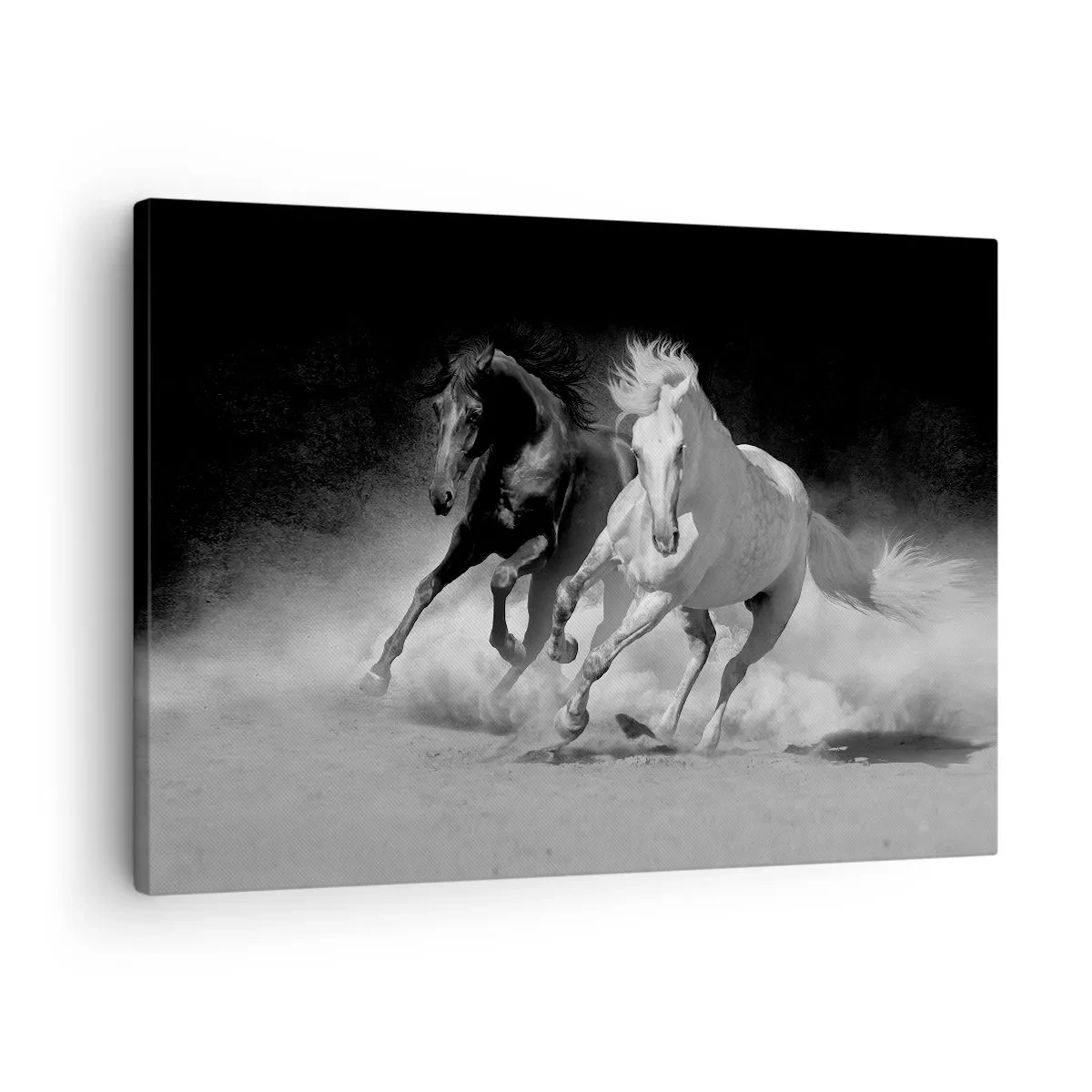 Vászonkép - Futó lovak fekete-fehérben - 70x50cm - A szabadság vágtája - Modern fali dekoráció nappalihoz és hálószobához ARTTOR