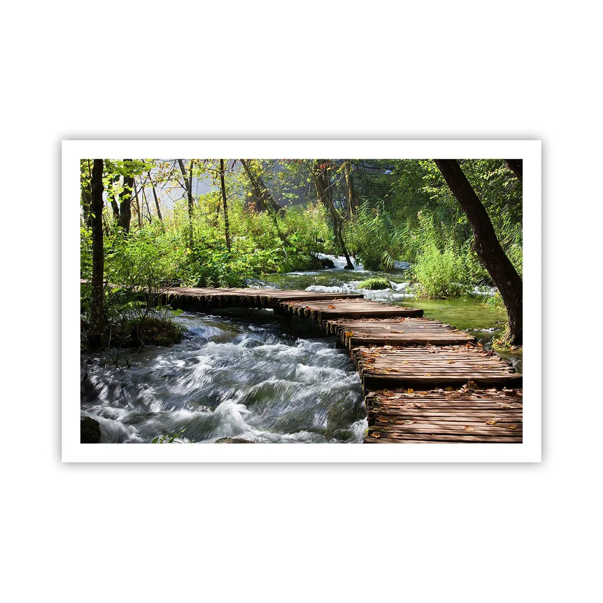 Poszter - A habzó zuhatag felett - 91x61 cm