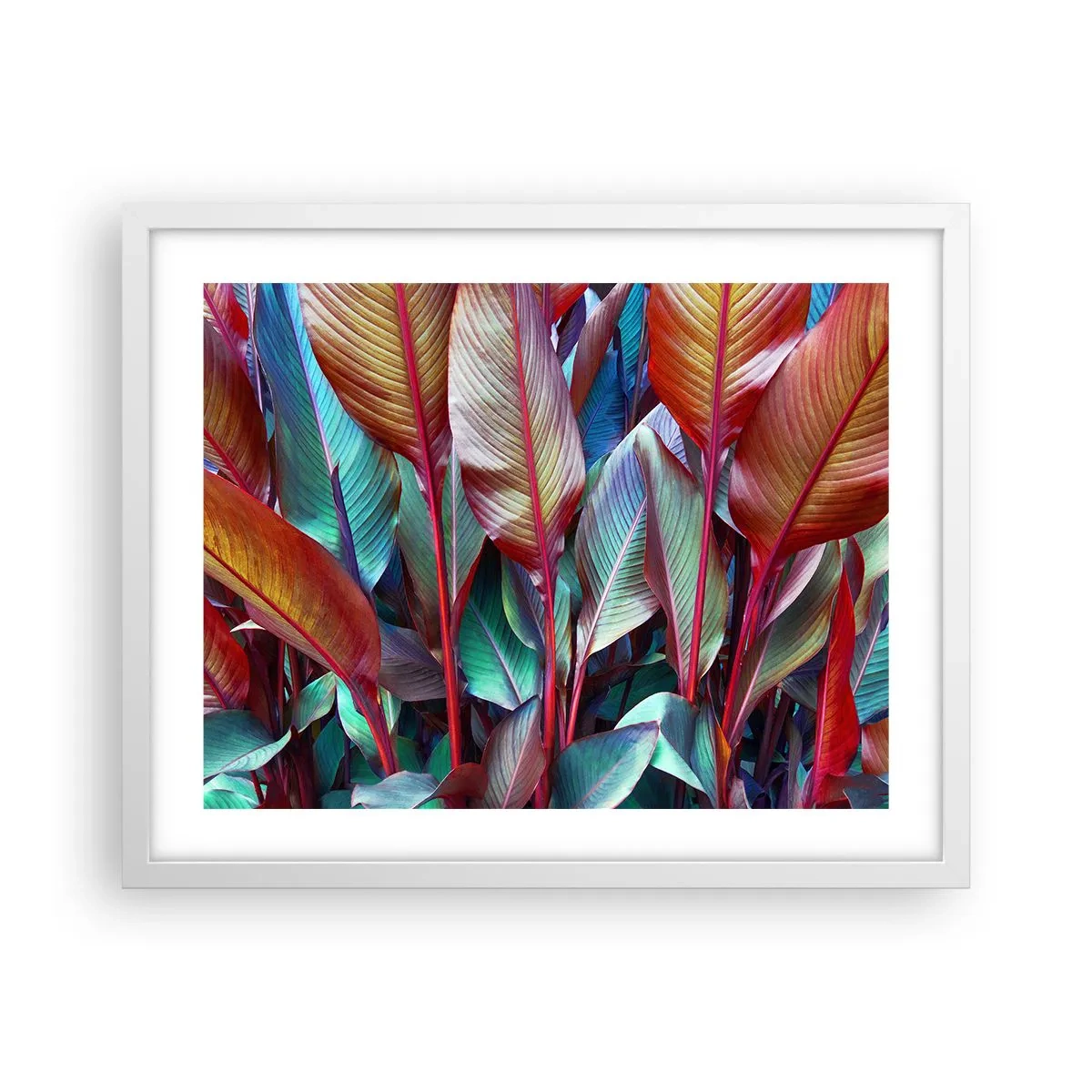 Poszter fekete keretben - Egy színes sűrű - 50x40 cm