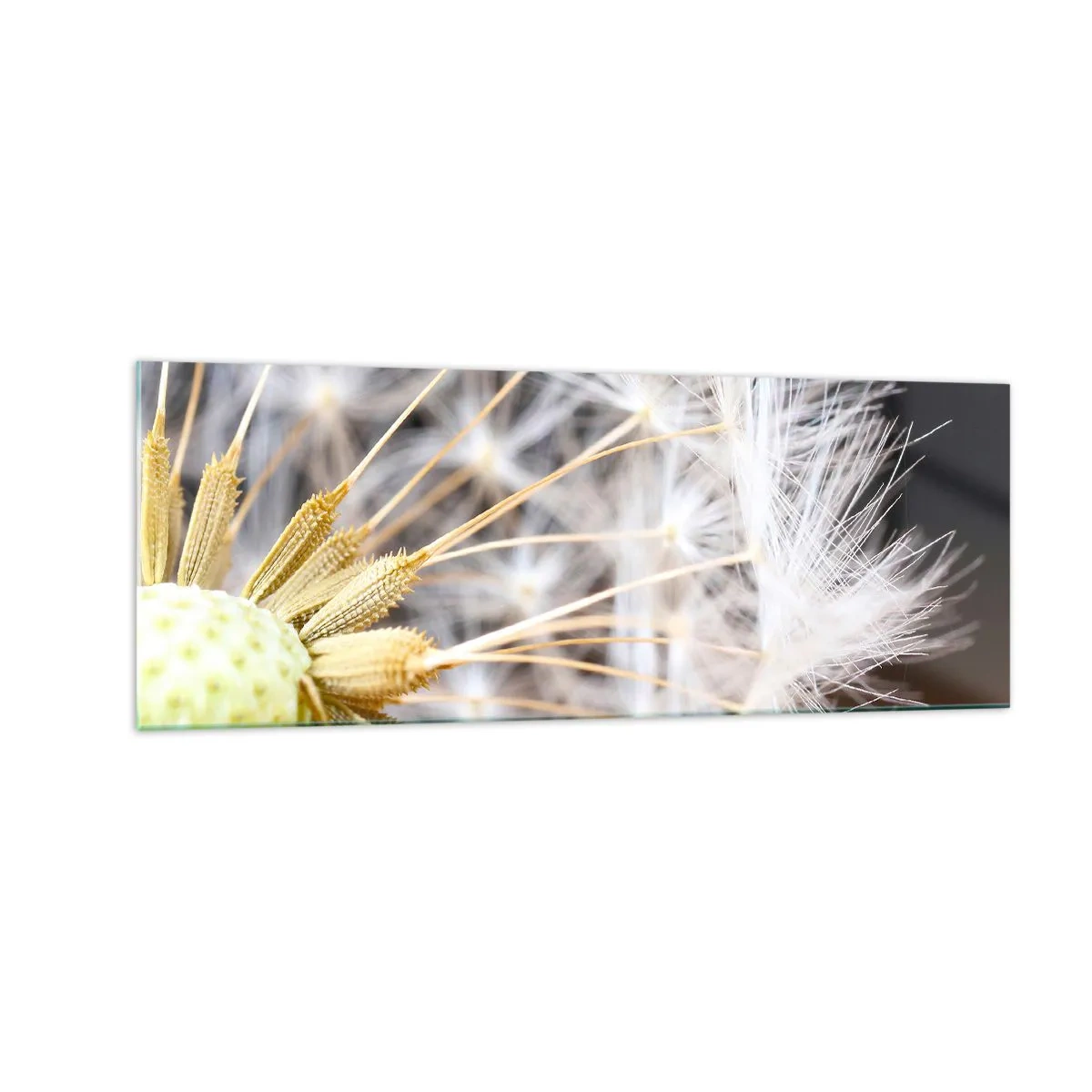 Üveg kép - Közvetlenül az indulás előtt - 140x50 cm