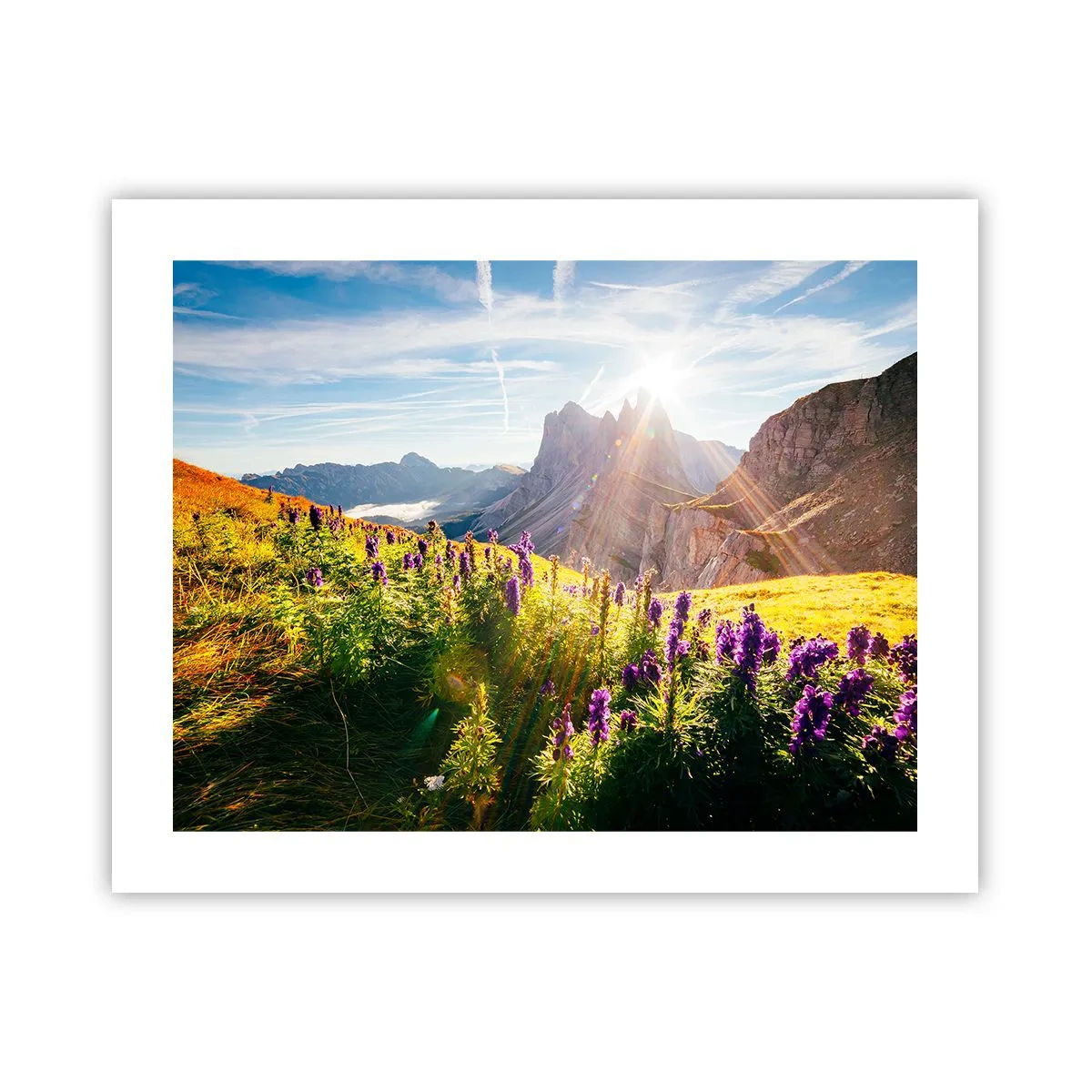 Poszter - A gyógynövények titkos élete - 50x40 cm