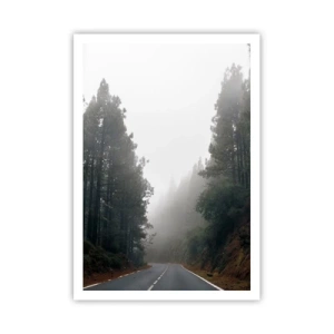 Poszter - Egy varázslatos erdő meséje - 70x100 cm