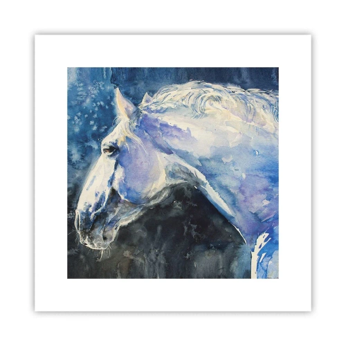 Poszter - Portré kék fényben - 30x30 cm