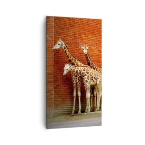 Vászonkép - Láttok akácot? - 55x100 cm