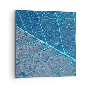 Vászonkép - Az élet kékben - 50x50 cm