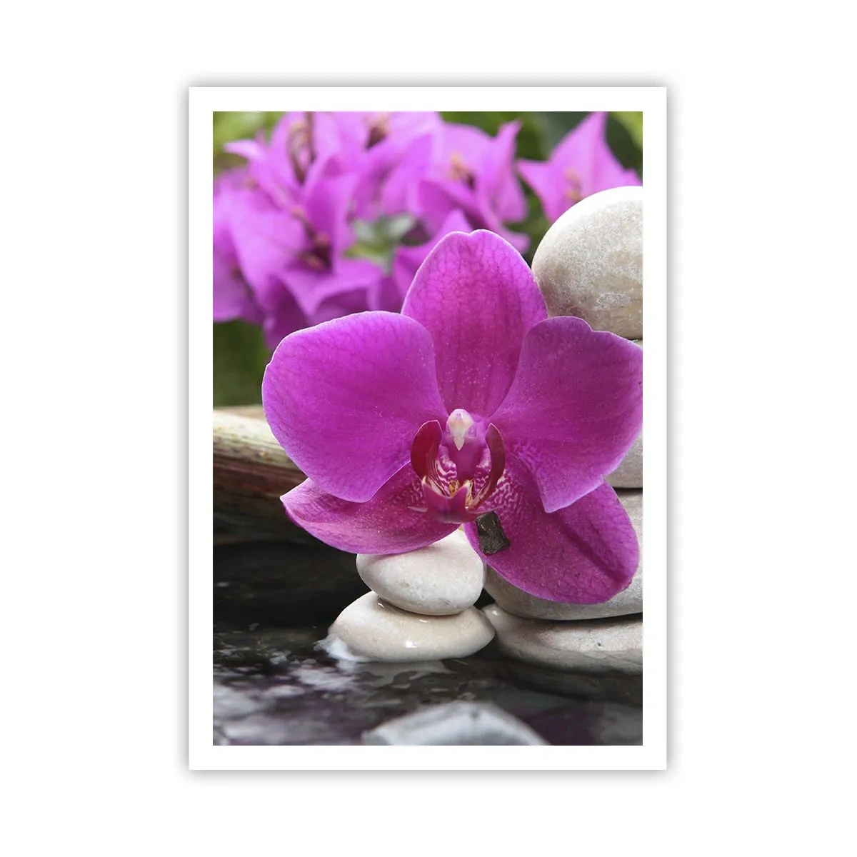 Poszter - Már pihensz - 70x100 cm