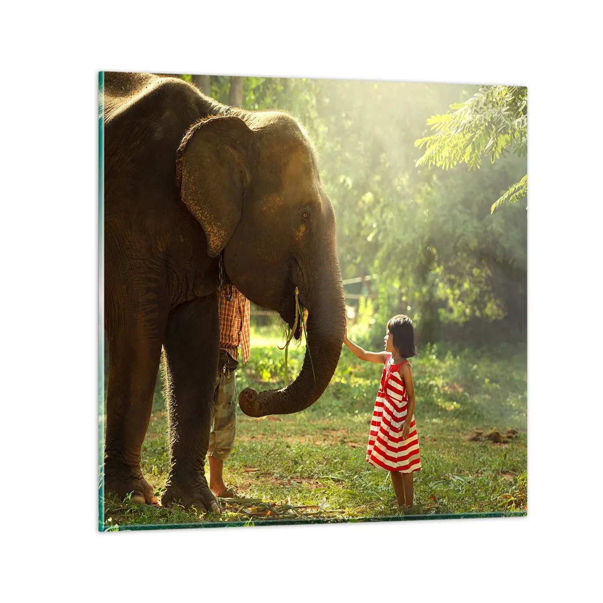 Üveg kép - A barátság ereje - 40x40 cm